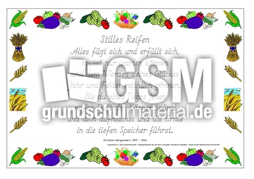 Nachspuren-Stilles-Reifen-Morgenstern-GS.pdf